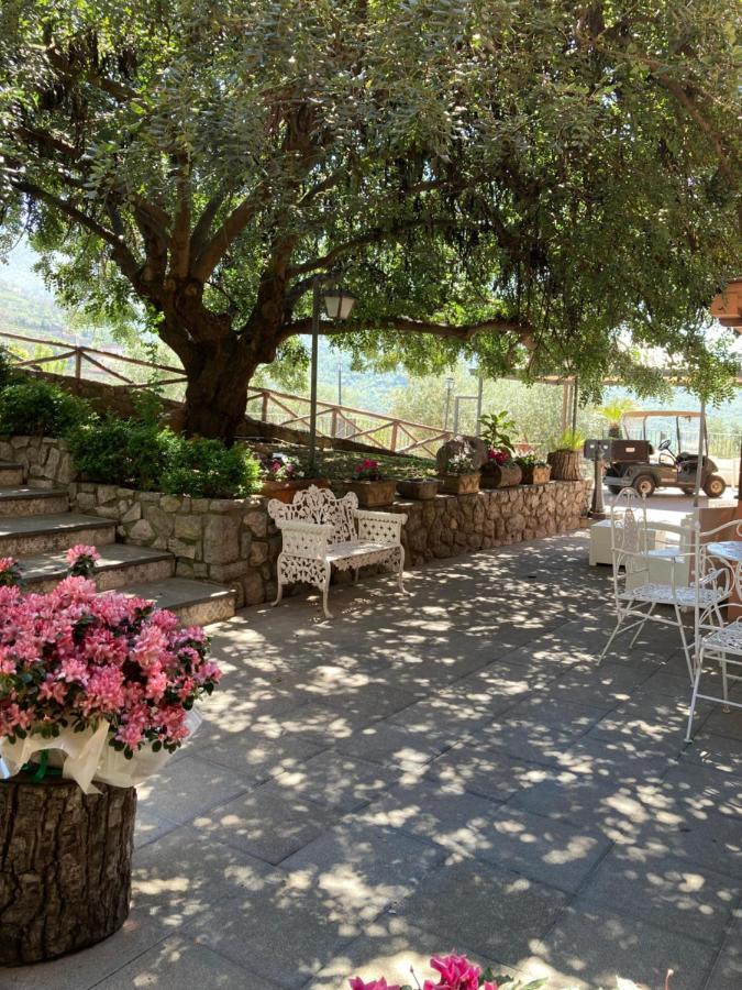 Agriturismo Nonno Luigino Vico Equense Exteriér fotografie