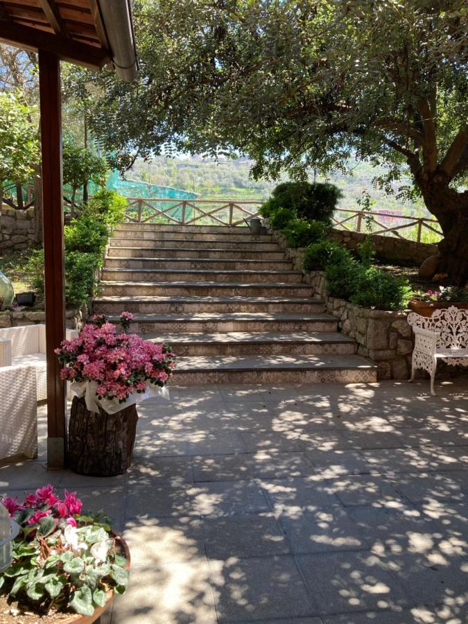Agriturismo Nonno Luigino Vico Equense Exteriér fotografie