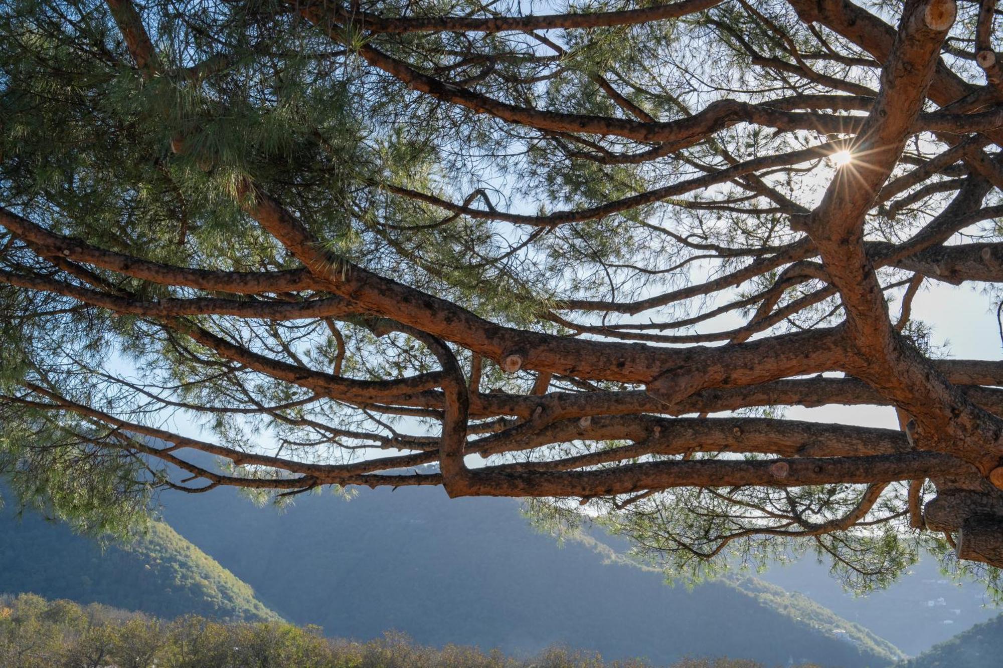 Agriturismo Nonno Luigino Vico Equense Exteriér fotografie