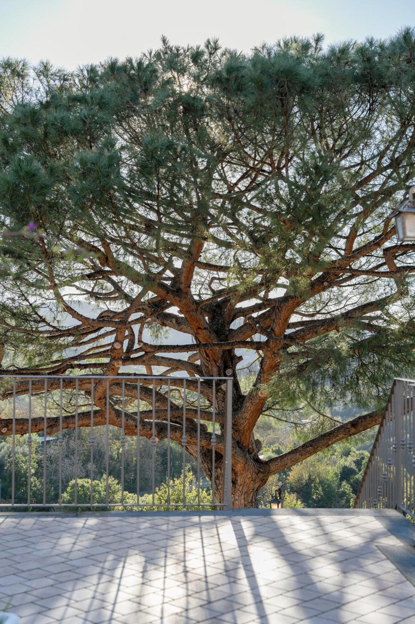 Agriturismo Nonno Luigino Vico Equense Exteriér fotografie